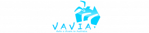 Vavia Logo